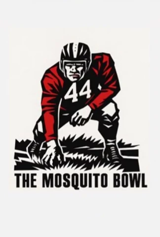 The Mosquito Bowl